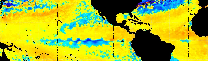 NOAA SST anomaly — equatorial Pacific